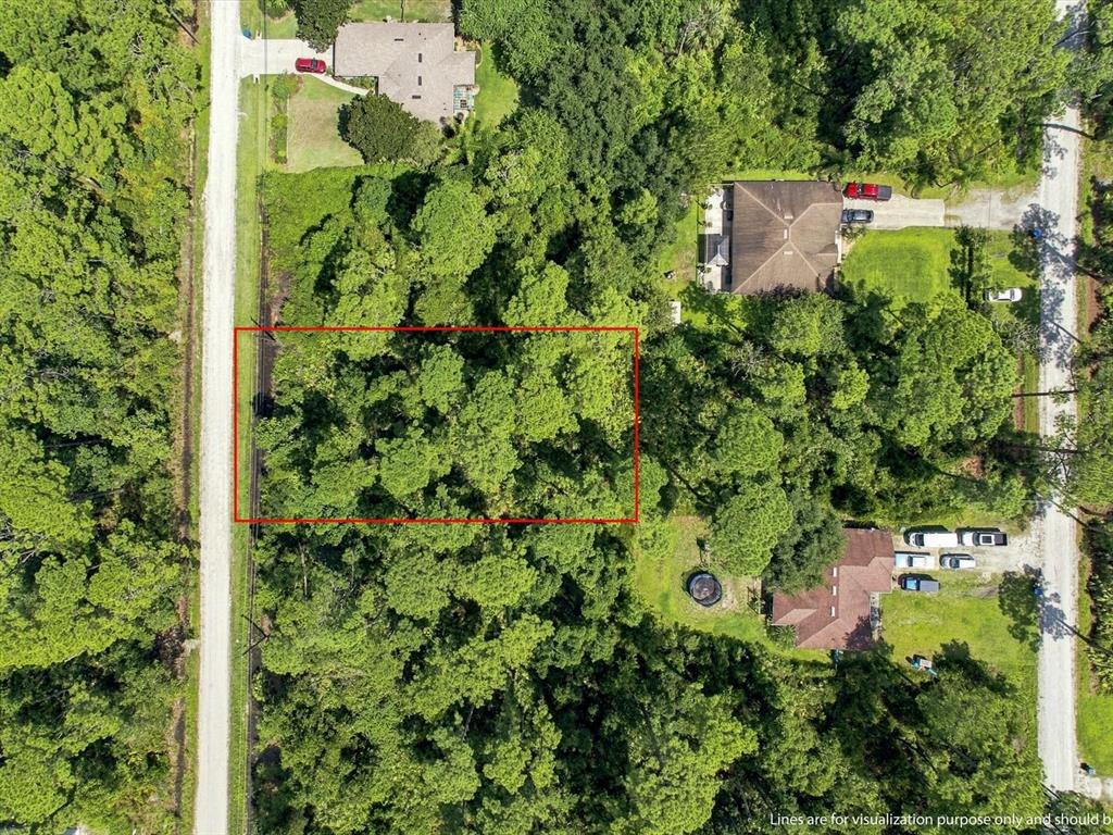 An aerial view shows a rectangular plot of wooded land outlined in red beside a road — 10TH AVENUE, DELAND, FL