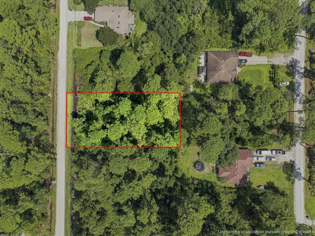 An aerial view shows a rectangular plot of land outlined in red amidst dense trees — 10TH AVENUE, DELAND, FL