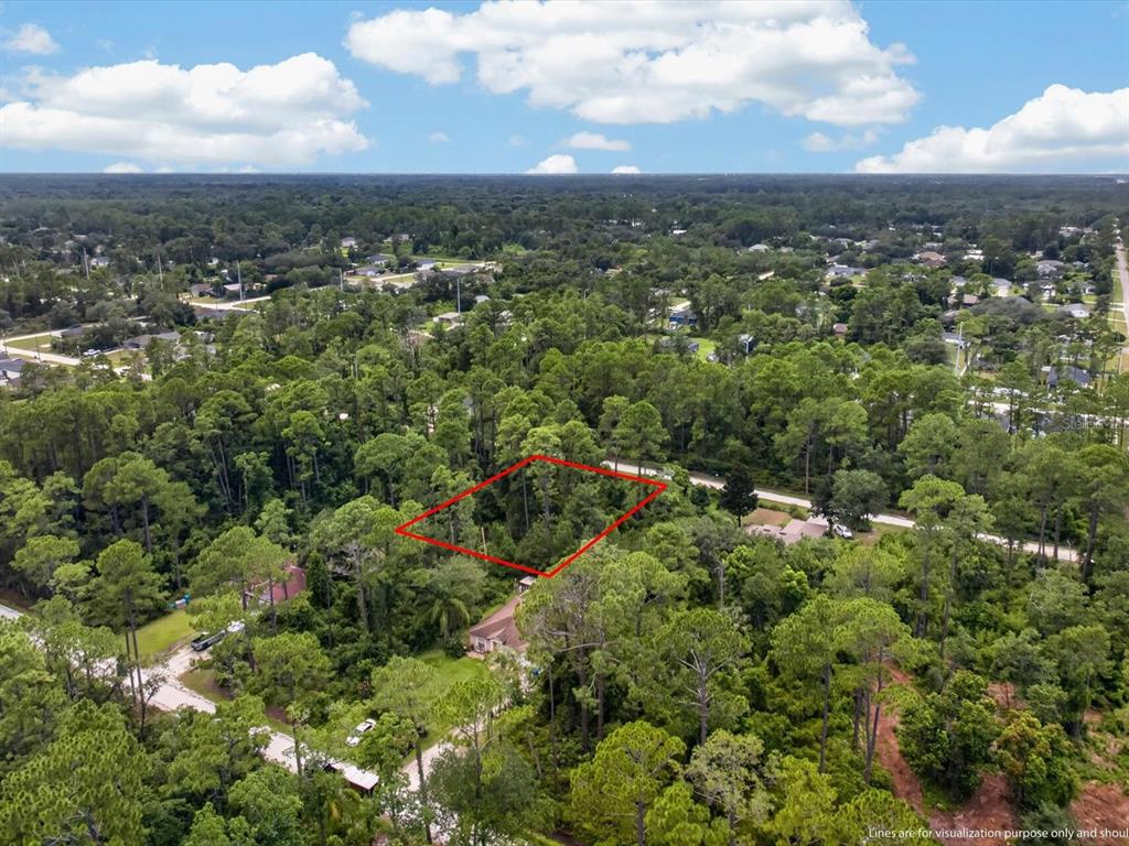 An aerial view shows a wooded residential lot outlined in red — 10TH AVENUE, DELAND, FL