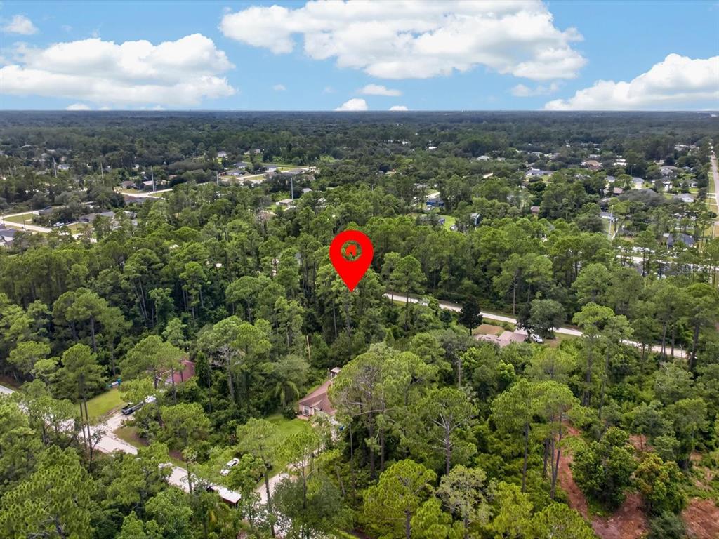 An aerial view shows a red location pin over a wooded lot near a road — 10TH AVENUE, DELAND, FL