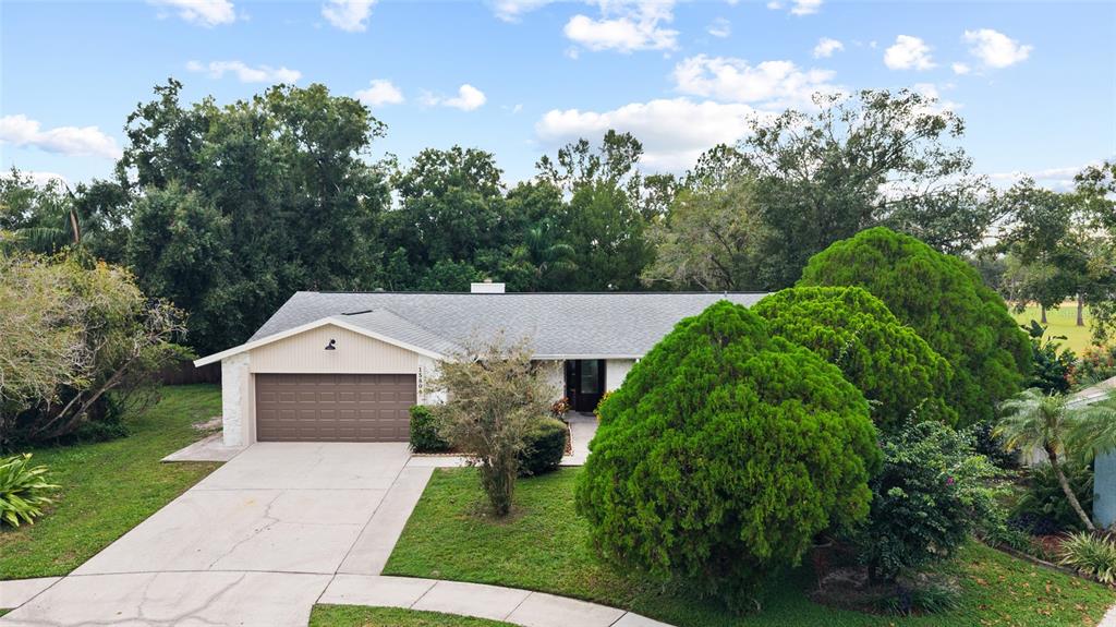15804 IRONWARE PLACE, TAMPA, FL — photo 5 of 30