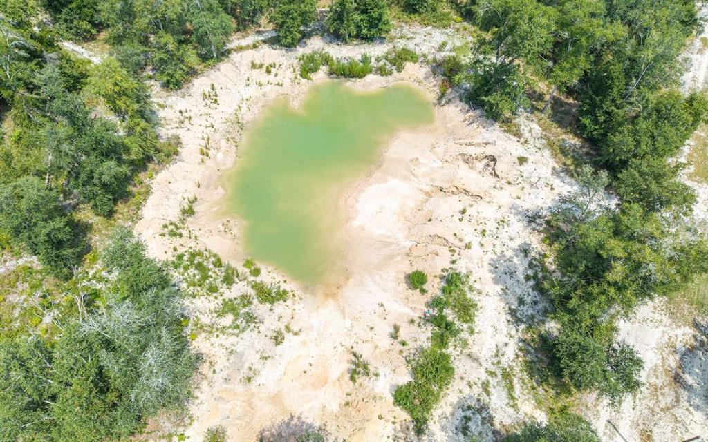 An aerial view shows a small, green pond surrounded by sandy soil and dense trees — 12329 176TH STREET, MC ALPIN, FL