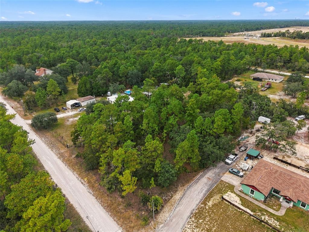 11467 RASCHKE RUN, WEEKI WACHEE, FL — photo 2 of 10