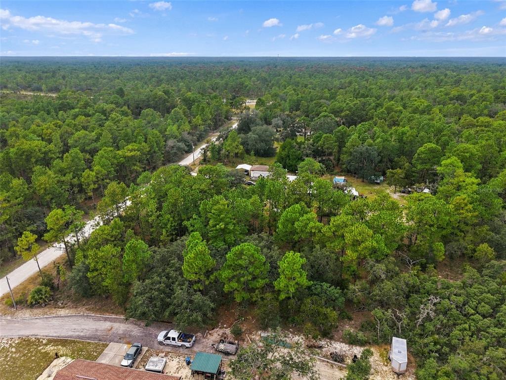 11467 RASCHKE RUN, WEEKI WACHEE, FL — photo 3 of 10