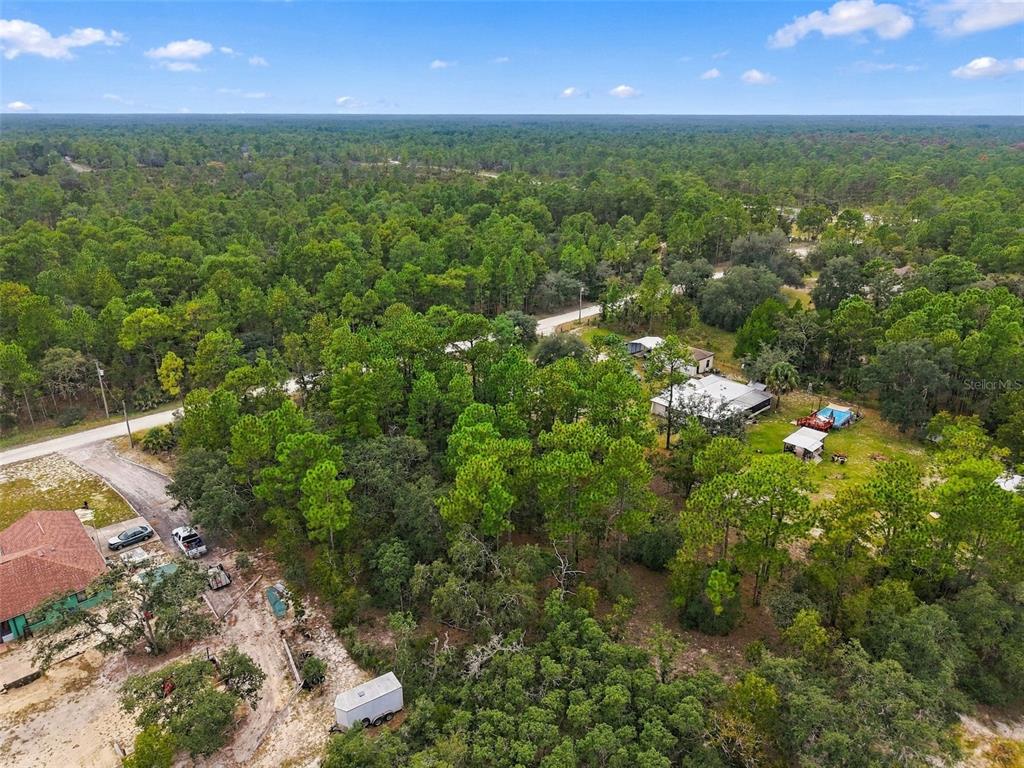 11467 RASCHKE RUN, WEEKI WACHEE, FL — photo 4 of 10