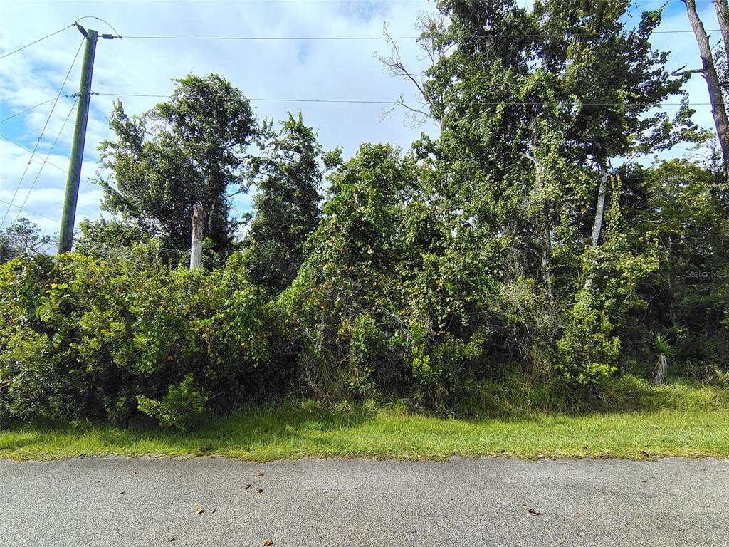 1 KALMAR PLACE, PALM COAST, FL — photo 2 of 5