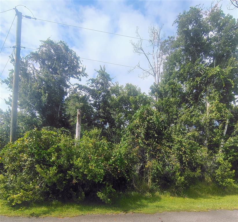 1 KALMAR PLACE, PALM COAST, FL — photo 4 of 5