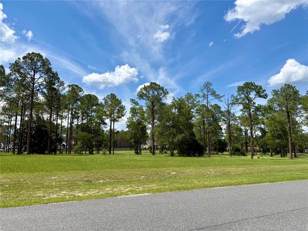 A paved road runs in front of a grassy lot bordered by tall pine trees — 35135 PINEGATE TRAIL, EUSTIS, FL