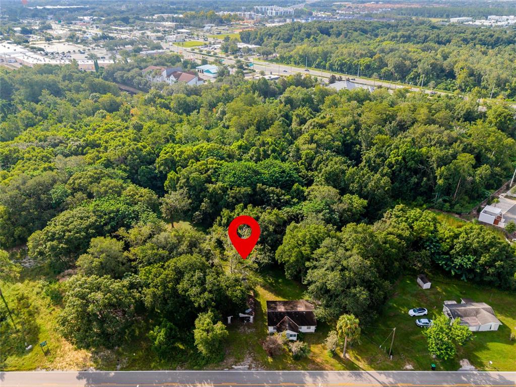 An aerial view shows a house surrounded by dense trees next to a paved road — 923 MARSHALL FARMS ROAD, OCOEE, FL