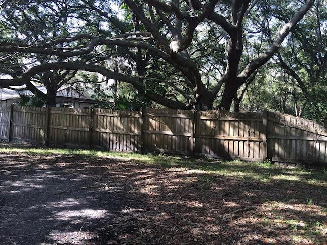 3159 DUANE AVENUE, OLDSMAR, FL — photo 3 of 5