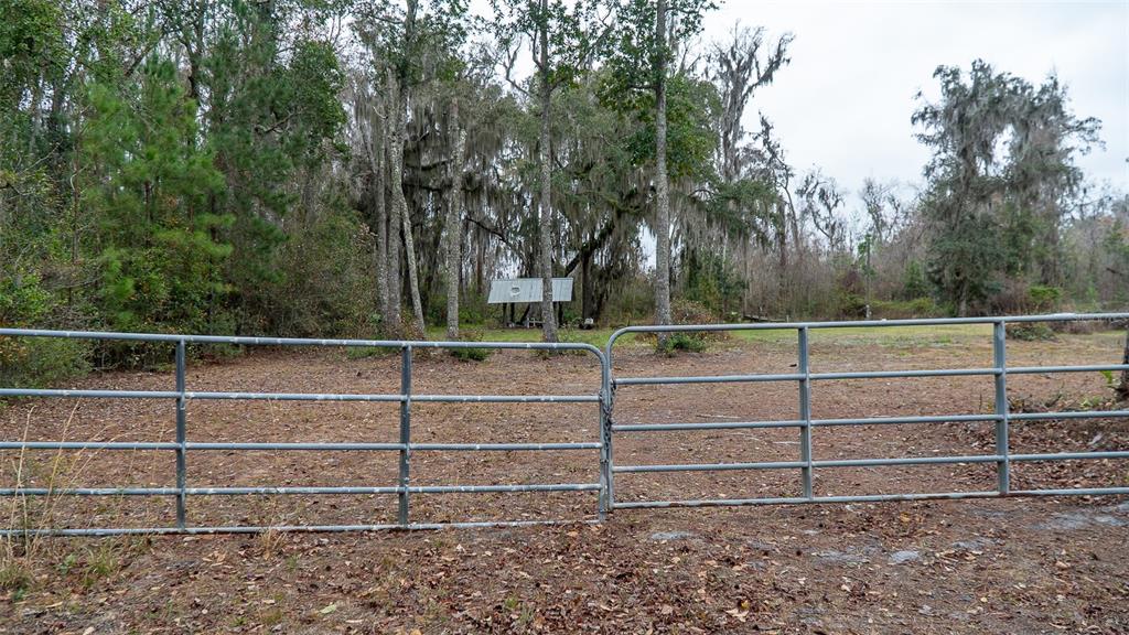 A metal gate stands in the foreground of a wooded lot with a small shed — 455 W RIVER ROAD, PALATKA, FL
