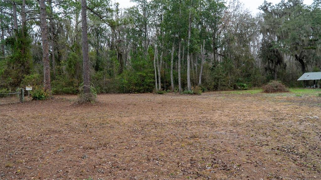 A large, cleared dirt lot is bordered by a dense forest of tall trees — 455 W RIVER ROAD, PALATKA, FL