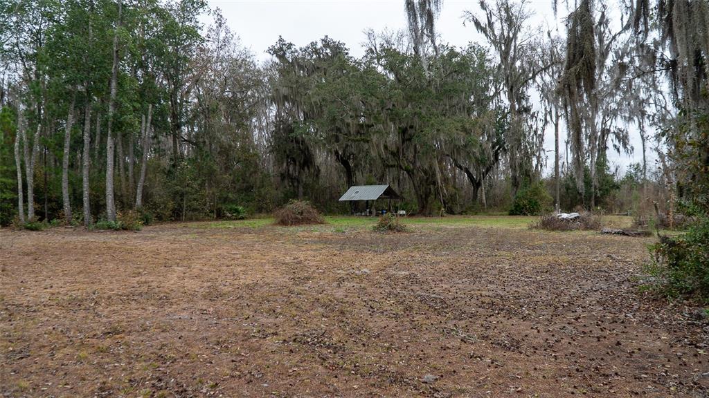 A small, open-sided metal structure sits in the middle of a large, grassy, wooded lot — 455 W RIVER ROAD, PALATKA, FL