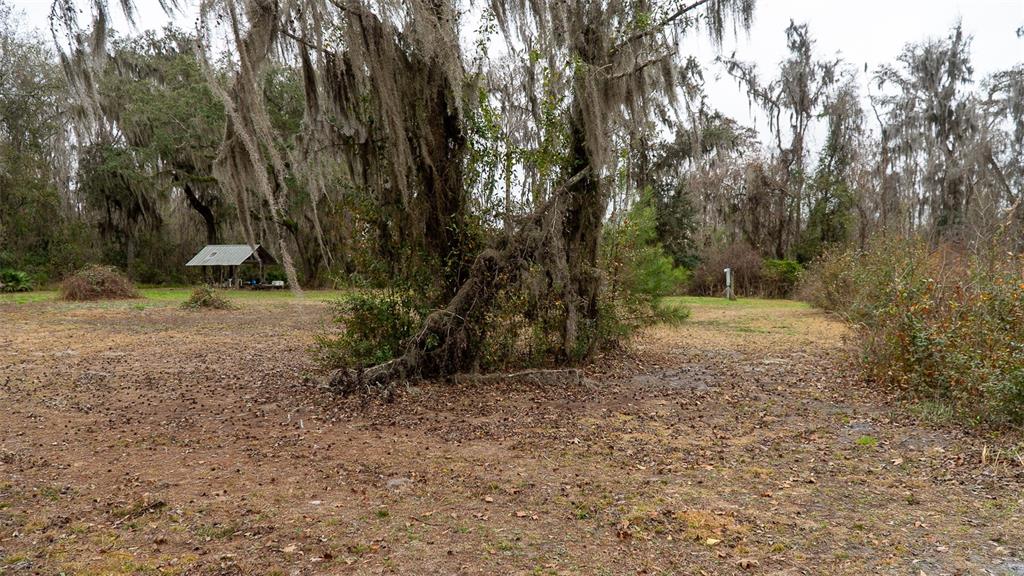 A large tree with Spanish moss stands in a grassy, wooded clearing with a pavilion — 455 W RIVER ROAD, PALATKA, FL