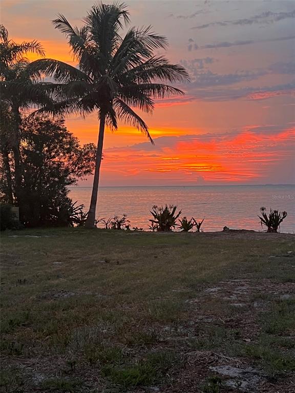 A palm tree stands on a grassy lawn overlooking a sunset over the ocean — 1013 SYMPHONY ISLES BOULEVARD, APOLLO BEACH, FL