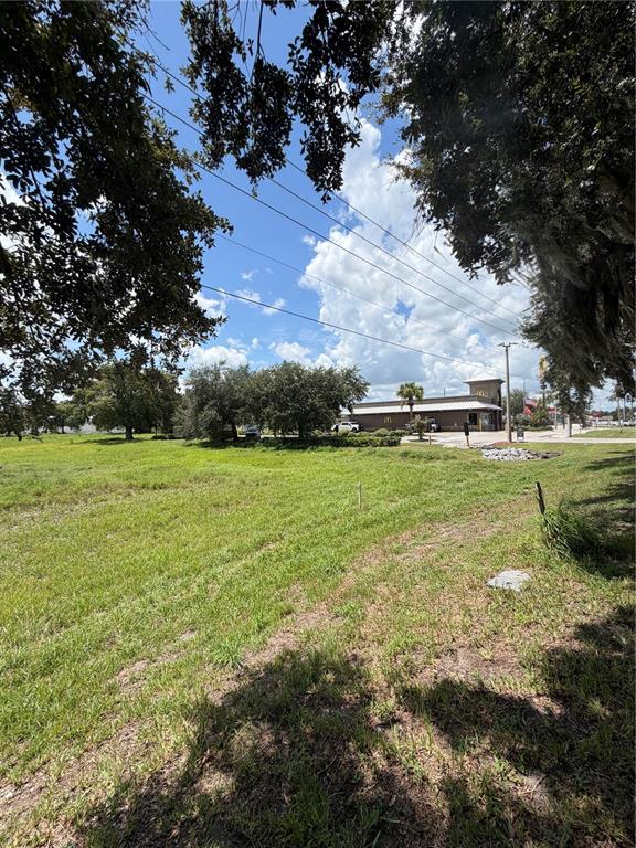 A grassy, undeveloped lot sits in front of a McDonald's restaurant under a blue sky — MIAMI STREET, LAKE WALES, FL