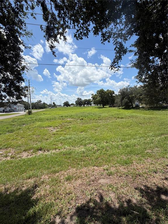 A grassy, undeveloped lot is framed by trees under a bright, cloudy blue sky — MIAMI STREET, LAKE WALES, FL