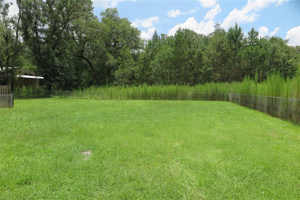 A fenced grassy backyard borders a dense forest of pine and oak trees — 11320 122ND TRAIL, LIVE OAK, FL