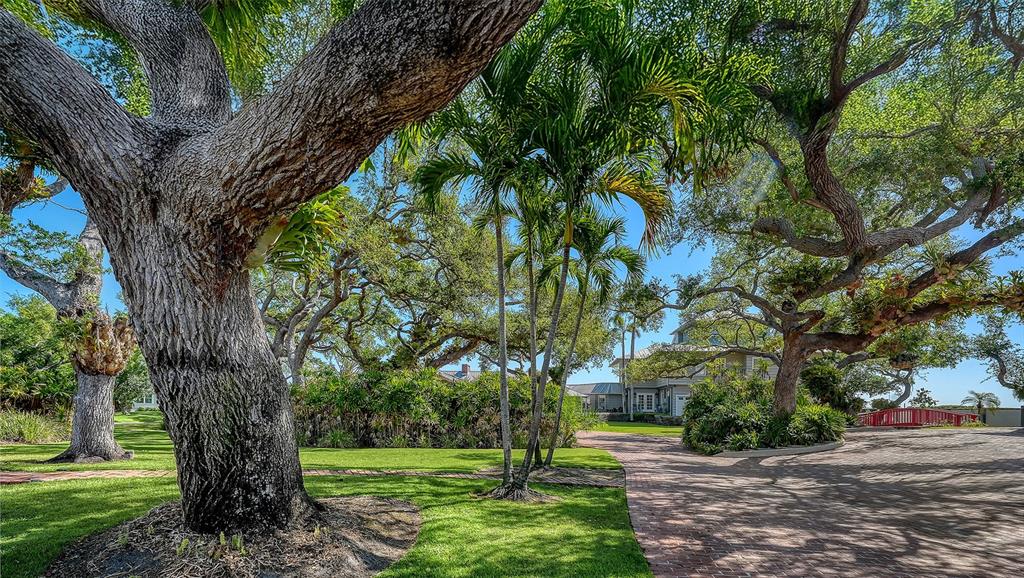 A brick driveway leads toward a house surrounded by large trees and lush landscaping — 1249 S BASIN LANE, SARASOTA, FL