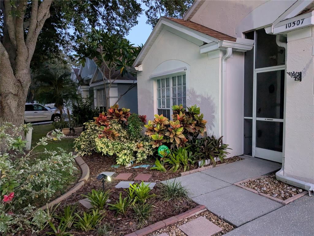 A white house exterior features a front garden with colorful croton plants and a walkway — 10507 WALKER VISTA DRIVE, RIVERVIEW, FL