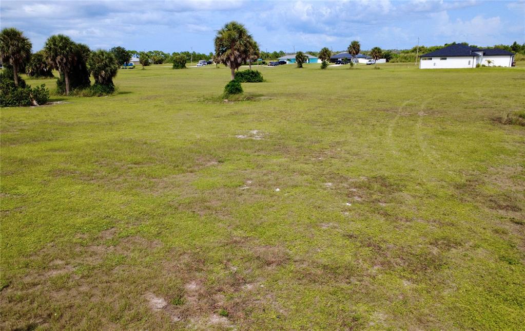 An expansive, grassy vacant lot features scattered palm trees under a partly cloudy sky — 3623 NW 38TH LANE, CAPE CORAL, FL
