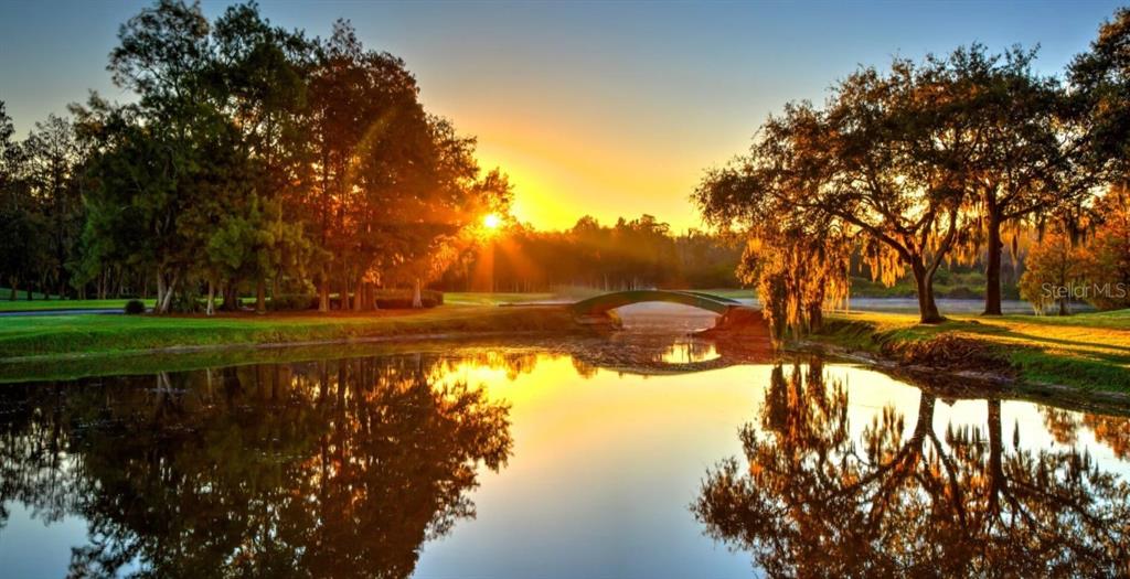 A small arched bridge crosses a pond surrounded by trees during a golden sunset — 1577 SANDHILL COURT, PALM HARBOR, FL