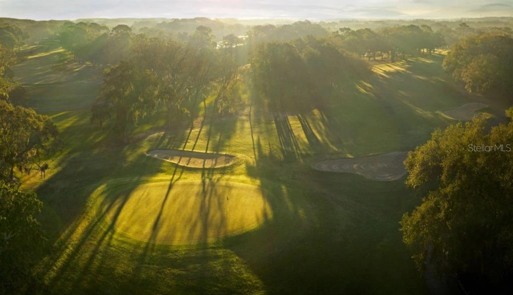 An aerial view of a golf course green surrounded by trees and sand bunkers — 1577 SANDHILL COURT, PALM HARBOR, FL