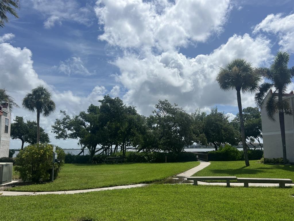 A grassy courtyard sits between two buildings with palm trees and a view of water — 1801 GULF DRIVE N UNIT 184, BRADENTON BEACH, FL