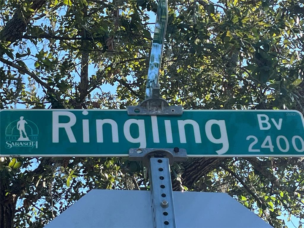 A green street sign for Ringling Boulevard stands against a background of tree branches — 2450 RINGLING BOULEVARD, SARASOTA, FL