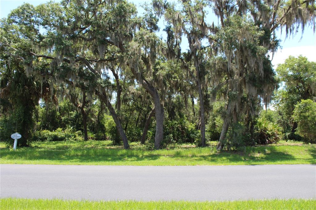 3117 BRIGHT LAKE CIRCLE lot 63