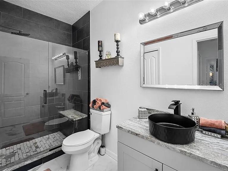 A bathroom features a glass-enclosed shower, a white toilet, and a black vessel sink — 3565 CLAY BRICK ROAD, HARMONY, FL