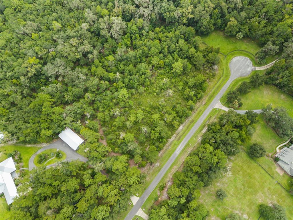 12563 SW 17TH DRIVE, MICANOPY, FL — photo 4 of 11