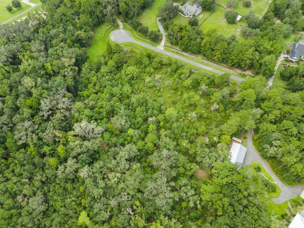 12563 SW 17TH DRIVE, MICANOPY, FL — photo 5 of 11