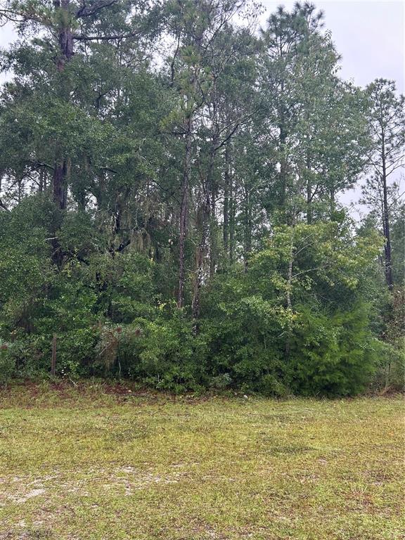 TBD NE 77TH COURT, BRONSON, FL — photo 2 of 2