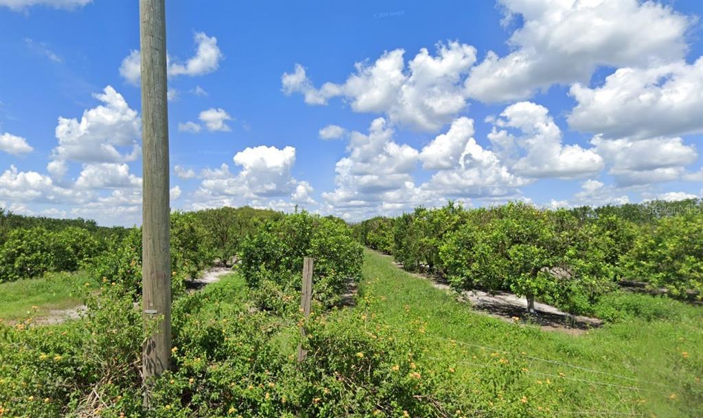 HOLOPAW GROVES ROAD, ST CLOUD, FL — photo 2 of 6