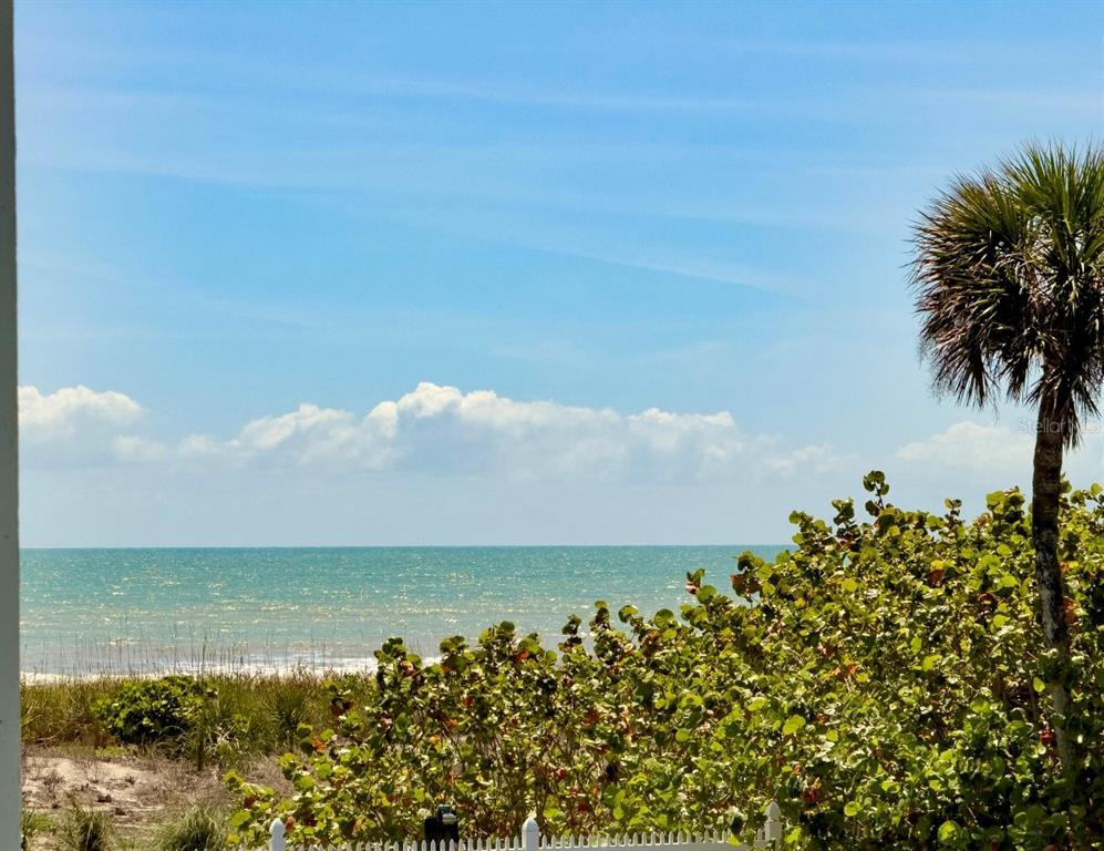 A view of the ocean and beach from a balcony with a palm tree — 4800 OCEAN BEACH BOULEVARD UNIT 226, COCOA BEACH, FL