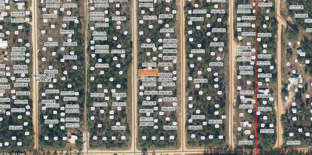 XX HOUSTON ST, INTERLACHEN, FL — photo 2 of 4
