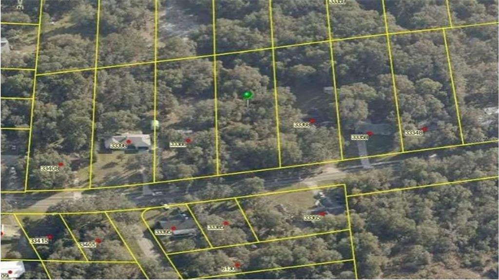 This aerial map shows several wooded residential lots outlined in yellow with house numbers — RIDGE MANOR BOULEVARD, DADE CITY, FL