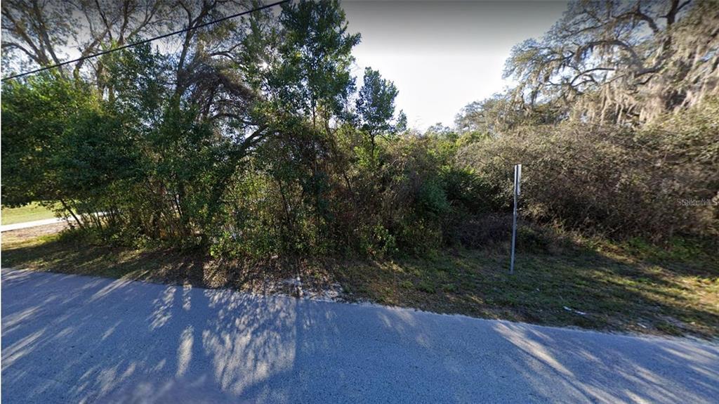 A view of a vacant, wooded lot bordered by a paved road and trees — RIDGE MANOR BOULEVARD, DADE CITY, FL