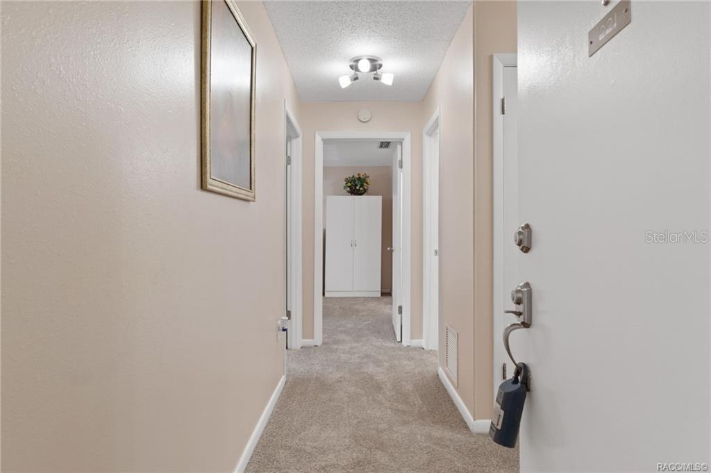 A carpeted hallway leads to a doorway with a white cabinet in the distance — 2400 FOREST DRIVE UNIT 221, INVERNESS, FL