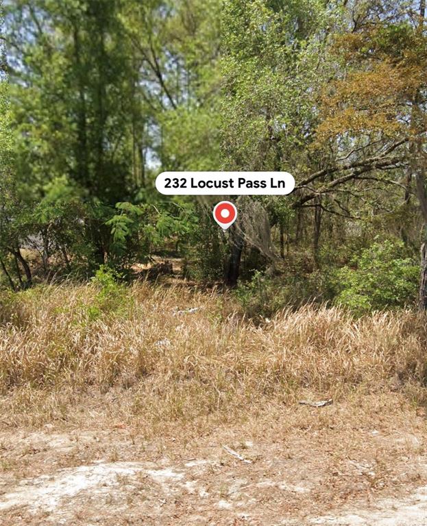 232 LOCUST PASS LANE, OCALA, FL — photo 4 of 5