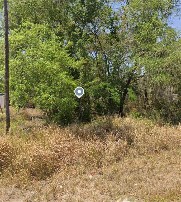 232 LOCUST PASS LANE, OCALA, FL — photo 5 of 5