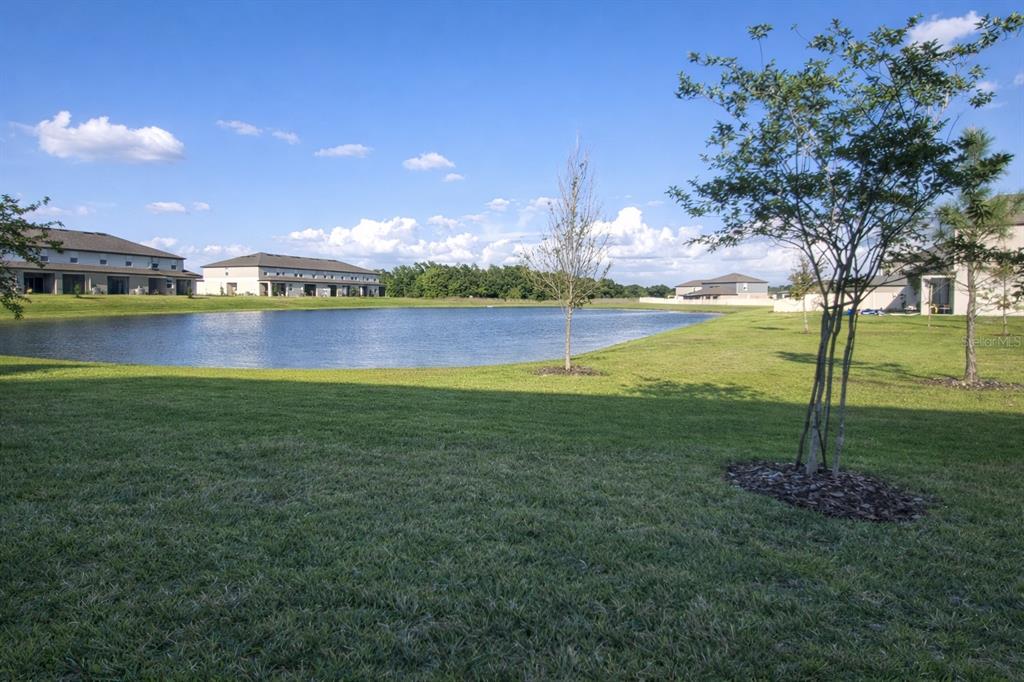 A grassy backyard overlooks a pond with residential buildings in the background — 12420 CRYSTAL JADE WAY, PARRISH, FL