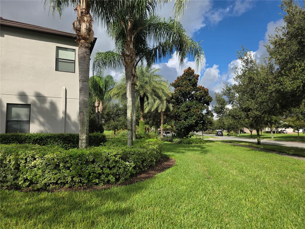 A view of a building exterior with palm trees, a manicured hedge, and green lawn — 8001 POND APPLE DRIVE, WINTER GARDEN, FL
