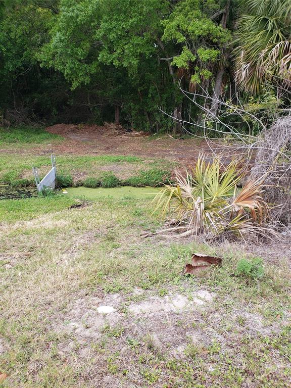 A grassy area with a small water canal and a metal gate leads to woods — GROSSE AVENUE, TARPON SPRINGS, FL