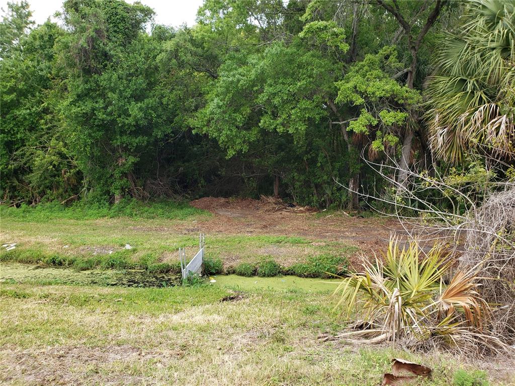 A view of a vacant, wooded lot with palm trees next to a paved road — GROSSE AVENUE, TARPON SPRINGS, FL