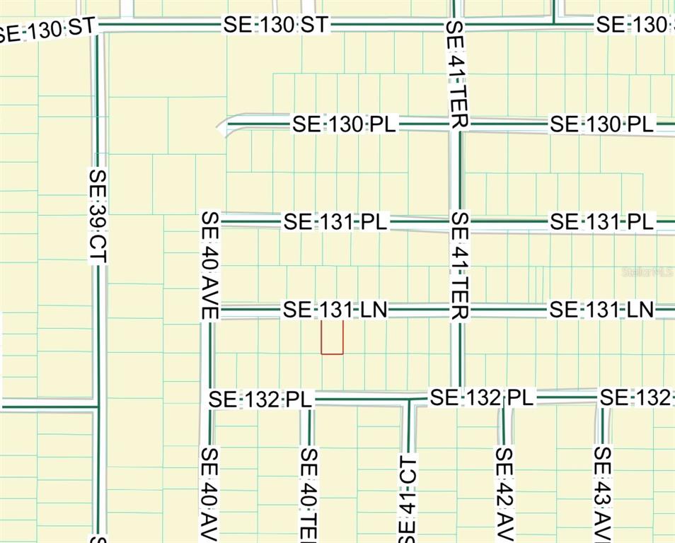 SE 131ST LANE, BELLEVIEW, FL — photo 4 of 5
