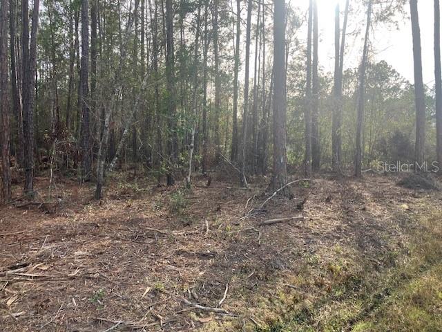A view of a wooded lot with cleared ground and tall pine trees — 4515 MAHOGANY BOULEVARD, BUNNELL, FL