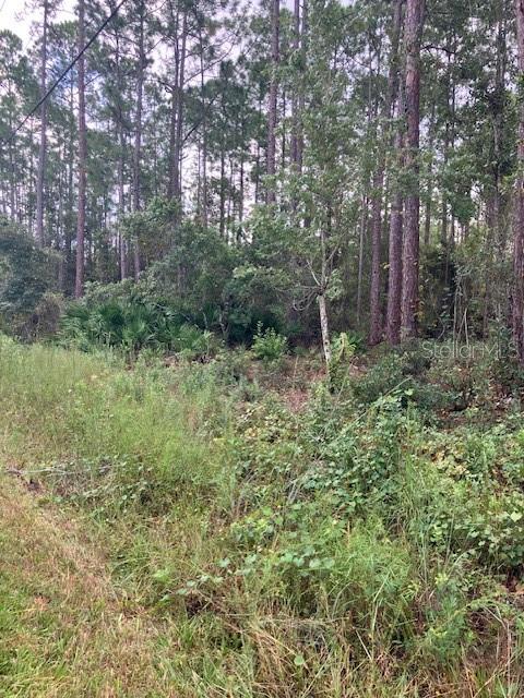 4515 MAHOGANY BOULEVARD, BUNNELL, FL — photo 5 of 5
