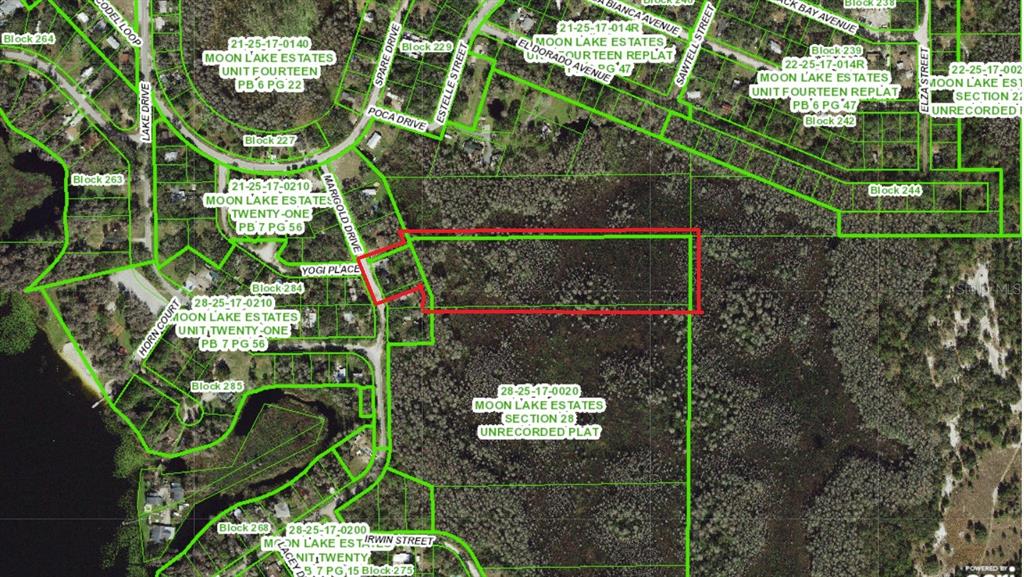 This is an aerial map showing a rectangular parcel of land outlined in red — 8944 MARIGOLD DRIVE, NEW PORT RICHEY, FL